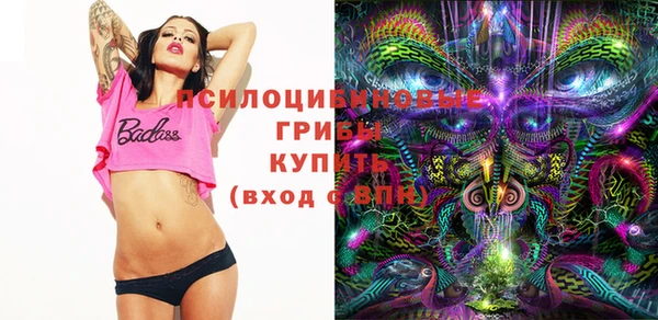 шишки Семилуки