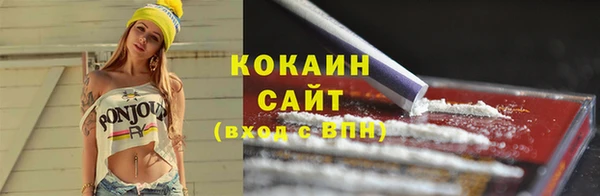 шишки Семилуки