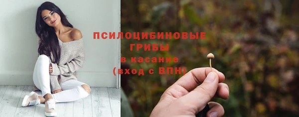 круглые Семёнов