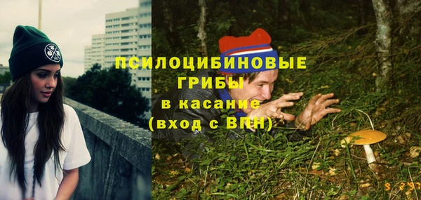 дживик Семикаракорск