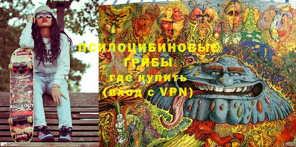 шишки Семилуки