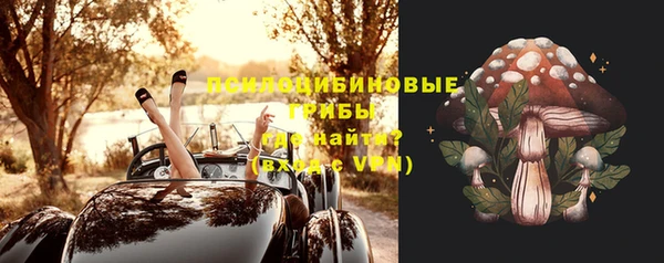шишки Семилуки