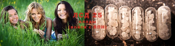 дживик Семикаракорск