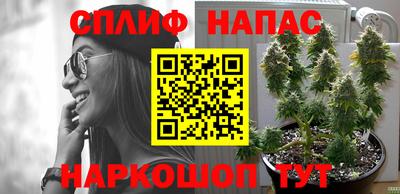MDMA Premium VHQ Камышлов