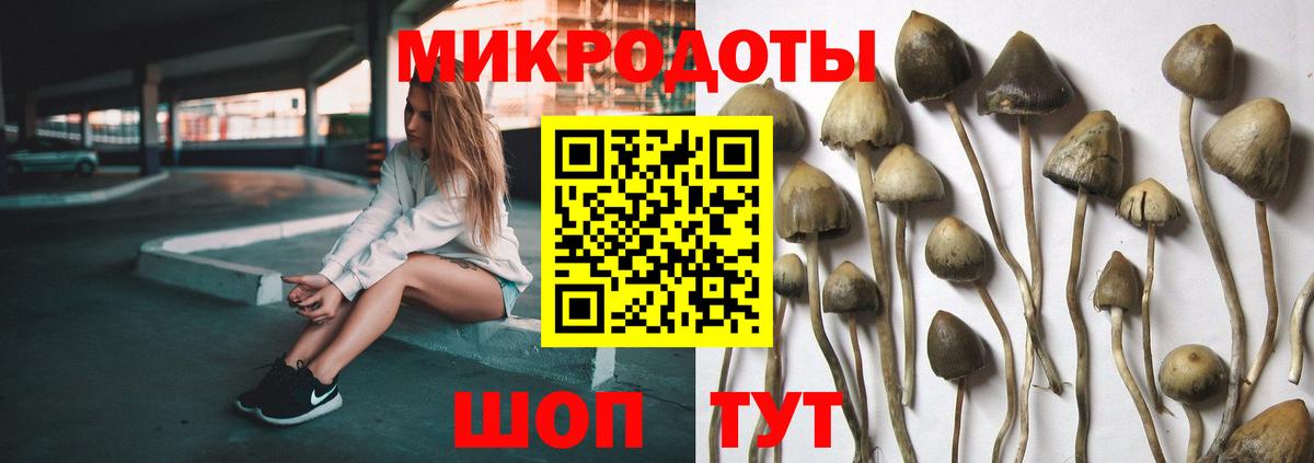 Галлюциногенные грибы мухоморы Тавда